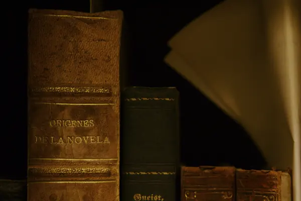 Vieux livres reliés sur une étagère